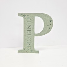 18mm Personalised Engraved Letter with Dino Feet Personalised and Bespoke