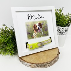 Square Dog Collar Memorial Frame - Name and Photo 