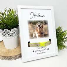 Rectangular Dog Collar Memorial Frame - Paw Prints On Our Heart Photo Frames