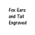 Fox Ears and Tail Engraved