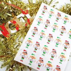 Printed Vinyl Sticker Sheets -Mixed Elf Boy and Girl Elf Approved PRINTED VINYL DESIGNS