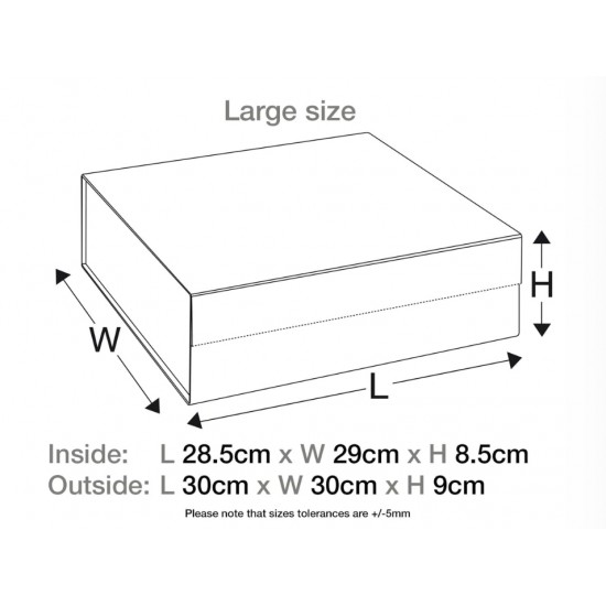 Large and Medium Foldabox Boxes Boxes