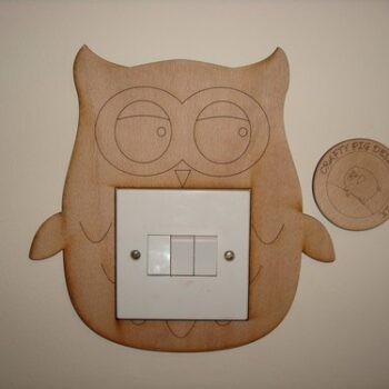 Owl_light_switch