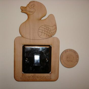 bathroom-lightswitch