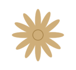 Daisy_Flower