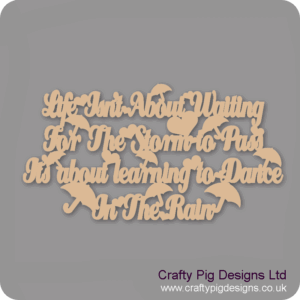 IT-ISN'T-ABOUT-WAITING-FOR-THE-STORM-TO-PASS