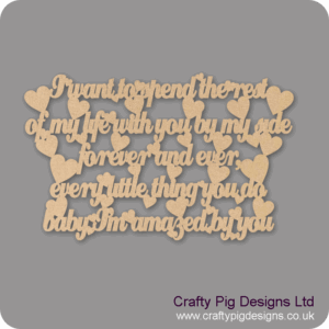 I-WANT-TO-SPEND-THE-REST-OF-MY-LIFE-WITH-YOU-BY-MY-SIDE-2