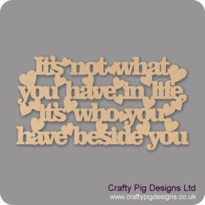 ITS-NOT-WHAT-YOU-HAVE-IN-LIFE-2