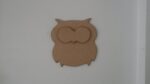 new_owl