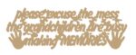 Please_excuse_the_mess_the_grandchildren_are_making_memories_quote_no_border