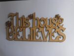 this_house_believes_snowflakes_hanging