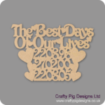 THE-BEST-DAYS-OF-OUR-LIVES