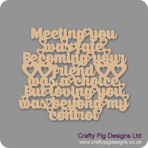 MEETING-YOU-WAS-FATE