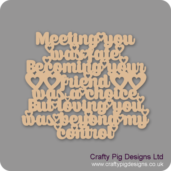 MEETING-YOU-WAS-FATE