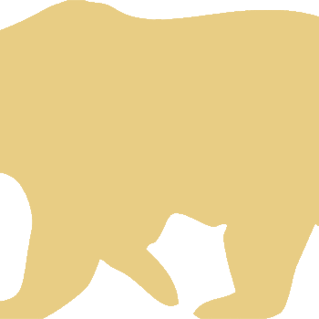 polar bear new