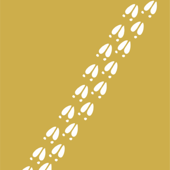 reindeer_hoof_prints-1