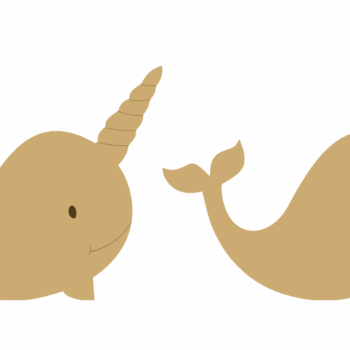 narwhal