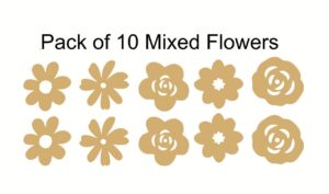 47577296_2353589818002721_7239823828799455232_n