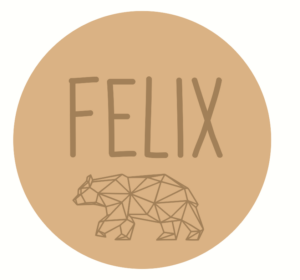 3mm mdf Circle Name and Geometric Polar Bear Plaque