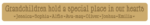 18mm mdf or 19mm OAK VENEER Engraved Grandchildren Hold A Special Place In Our Hearts sign (Style2)