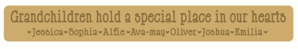 18mm mdf or 19mm OAK VENEER Engraved Grandchildren Hold A Special Place In Our Hearts sign (Style2)