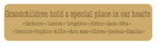 18mm mdf or 19mm OAK VENEER Engraved Grandchildren Hold A Special Place In Our Hearts sign (Style2)