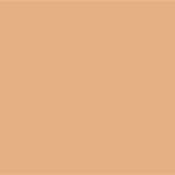 19mm Oak Veneer Rectangle 200x80mm