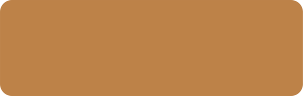 19mm Oak Veneer Rectangle 250x80mm