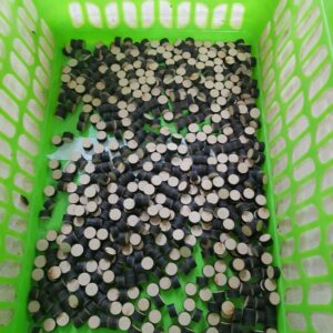 6mm Laser Cut 10mm Buttons (Pack of 10)