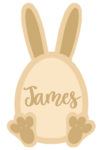 18mm Fillable Easter Egg with Ears Chocolate Egg Drop Box