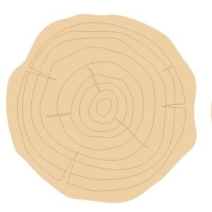 3mm mdf Etched Log Slice Style 2 (Pack of 5)