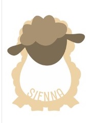 sheep 1