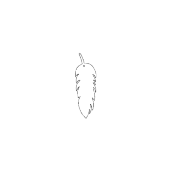 50mm Acrylic Feather Shape