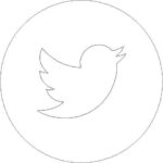 Acrylic Twitter Icon (pack of 5)