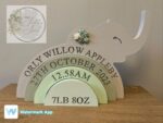 18mm MDF Stacking Rainbow with Elephant Detail
