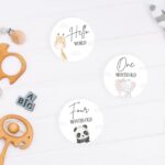 3mm Acrylic Milestone Discs Set – Cute Animals Design