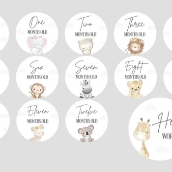 3mm Acrylic Milestone Discs Set - Cute Animals Design