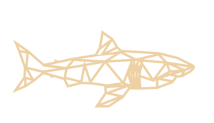 3mm mdf Geometric Great White Shark
