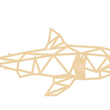 3mm mdf Geometric Great White Shark