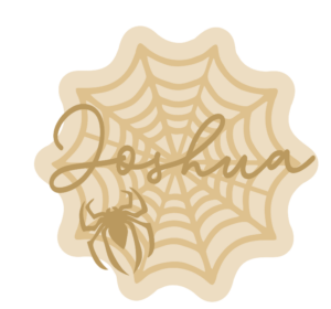 3mm mdf Personalised Spiders Web with name and Spider