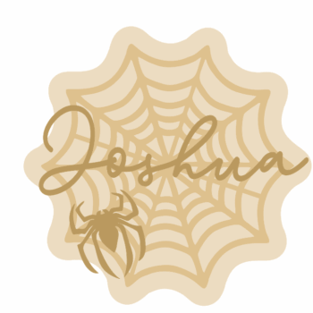 3mm mdf Personalised Spiders Web with name and Spider