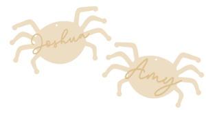 3mm mdf Personalised Spider with name