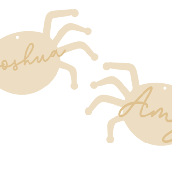 3mm mdf Personalised Spider with name