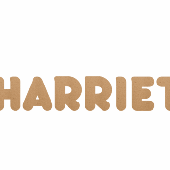 3mm MDF letters to match printed acrylic letters - Bubble Font