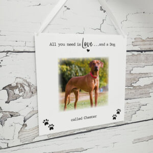 Personalised Printed Pet Plaque - All You Need is Love and....