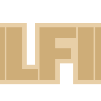 3mm mdf + 3mm mdf Layered Minecraft Style Name