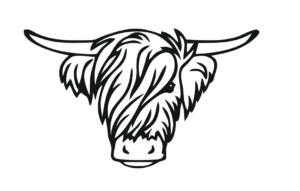 4mm mdf Highland Cow