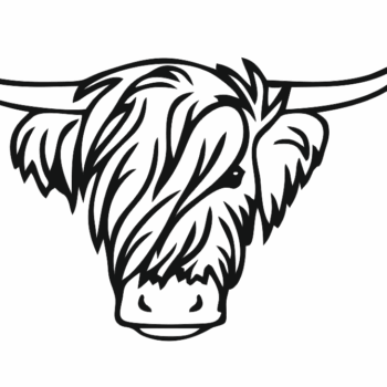 4mm mdf Highland Cow