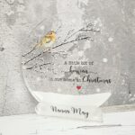 UV Printed Snowglobe – Robin Design