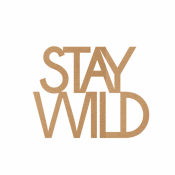 4mm mdf/4mm Oak Veneer STAY WILD plaque